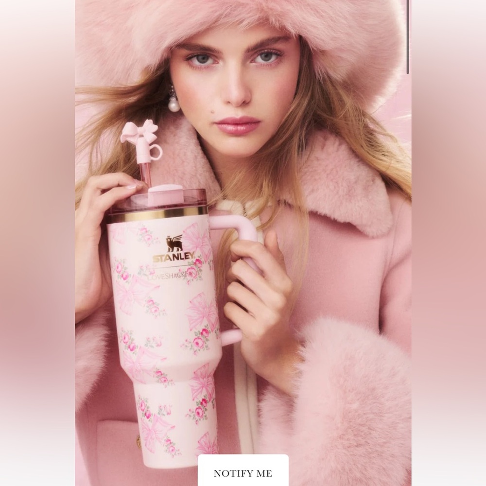 Loveshack Fancy x Stanley 40oz brand new! Sold out everywhere